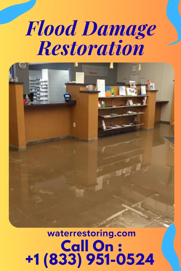 Flood Damage Restoration in Brooklet, GA