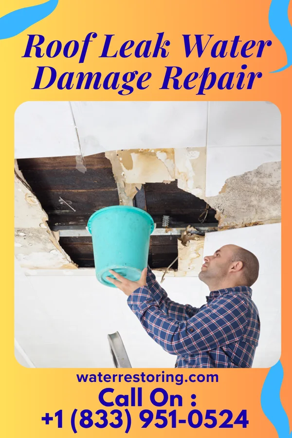 Roof Leak Water Damage Repair in Brooklet, GA