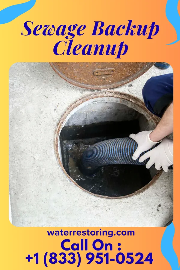 Sewage Backup Cleanup in Brooklet, GA